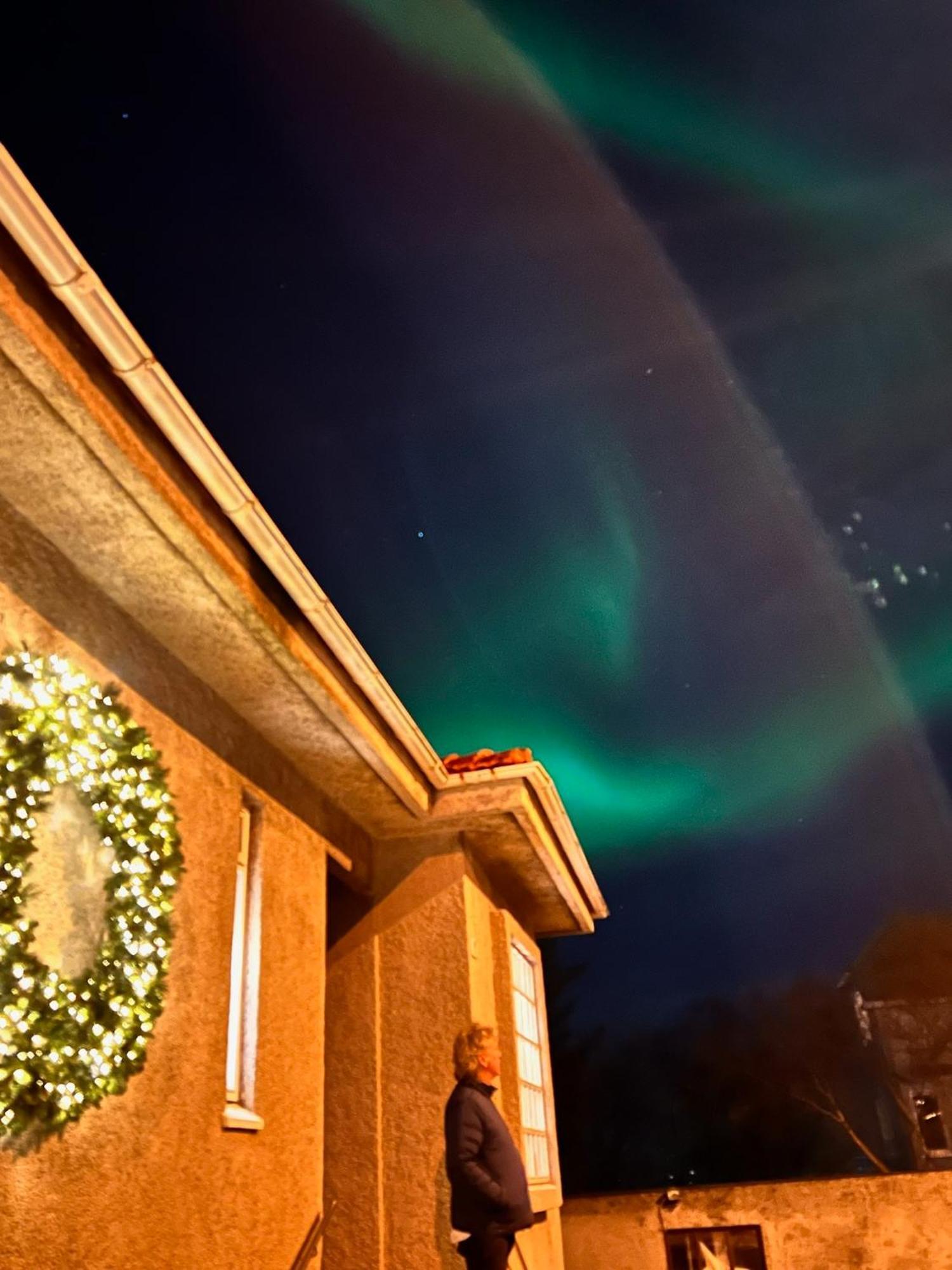 Casa Disa - Apartments A Boutique Guesthouse In Reykjavik City'S Central Park And Botanical Garden In Laugardalur, Hot-Spring-Valley ภายนอก รูปภาพ